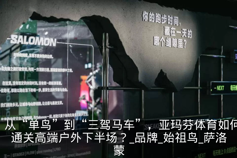 从“单鸟”到“三驾马车”，亚玛芬体育如何通关高端户外下半场？_品牌_始祖鸟_萨洛蒙